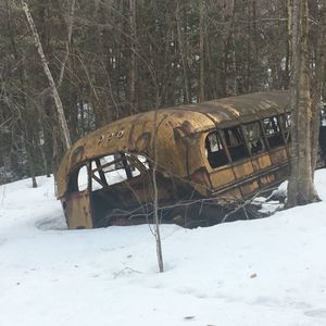 Meet your Posher, Nick-is